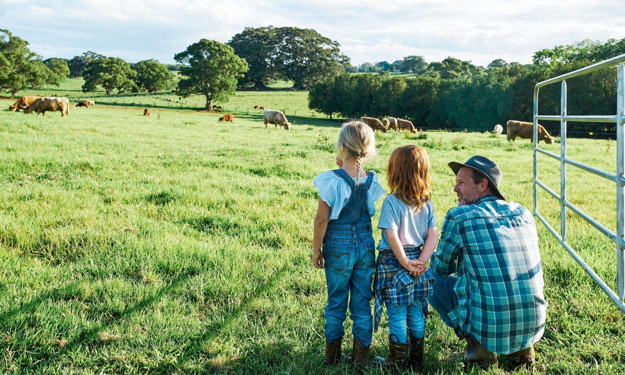 Man and two kids in a grassy field view grazing cows and clean, organized sustainable farming installations under clouds.