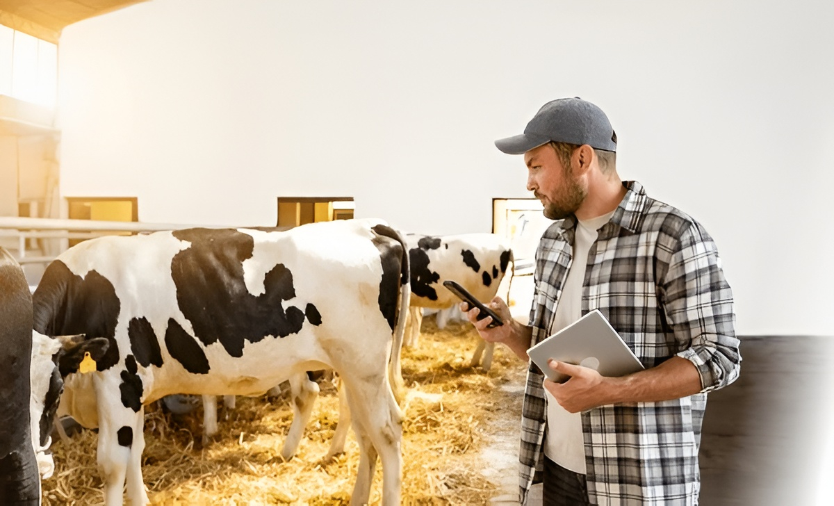 Farmer in plaid shirt with tablet and phone stands by cows in barn, showcasing modern agriculture security.